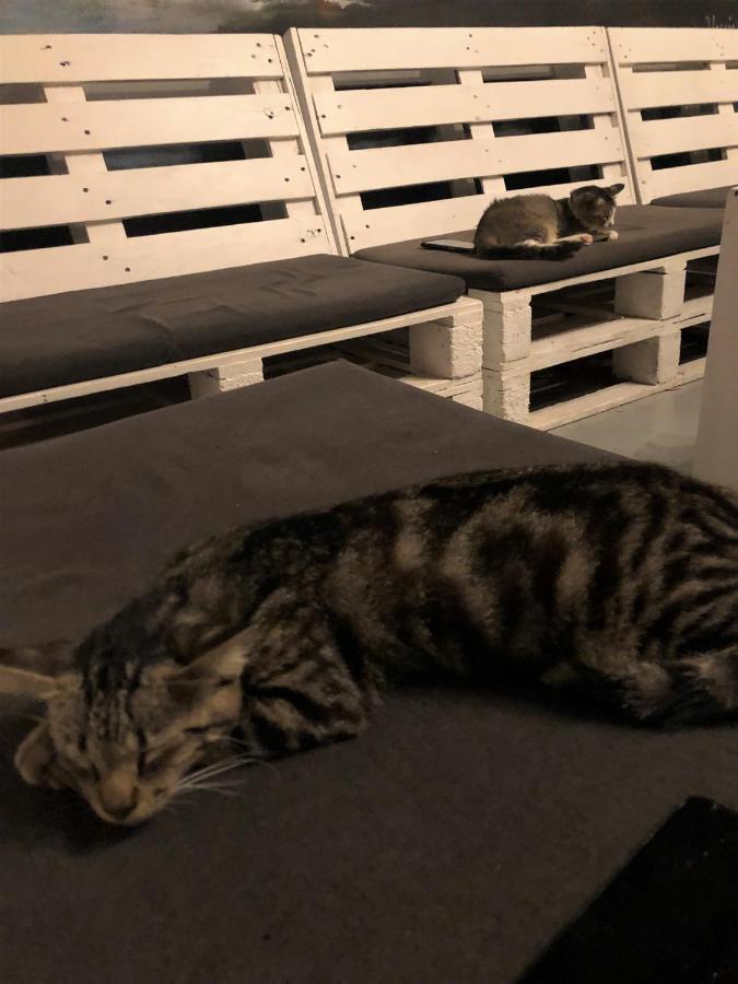 Rembulan Langkawi Guesthouse パンタイ・サナング エクステリア 写真